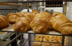 Boulangerie-pâtisserie et conditions de travail